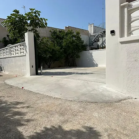 Marea בארי